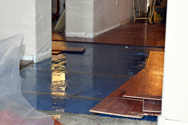 Professional Flood Damage Restoration technician working in Opa-locka, FL